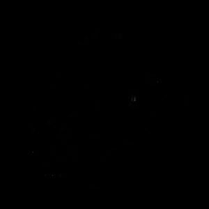 Meet your Posher, Colleen